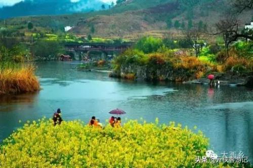 中国油菜之乡排名前十(全国油菜花开最早省市县乡)插图19