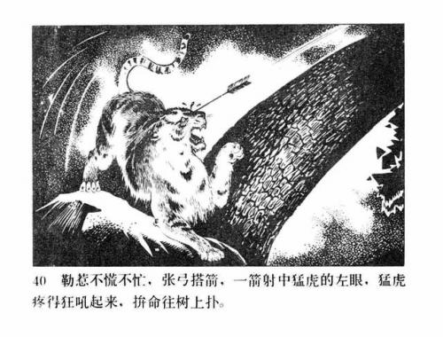 一幅壮锦(一幅壮锦告诉我们什么道理)插图42