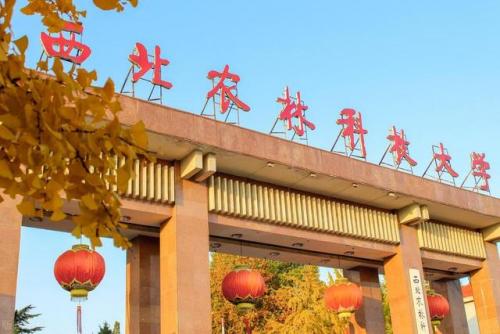 985大学有哪些(三十九所985名单)插图38