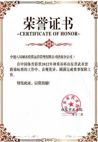 山东武术机构排名前十(山东聊城市武术协会副主席)插图