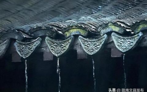 雨落凡尘(羽落凡尘)