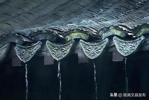 雨落凡尘(羽落凡尘)插图