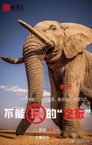 缅甸宝石产量排名前十(缅甸琥珀市场行情)插图31
