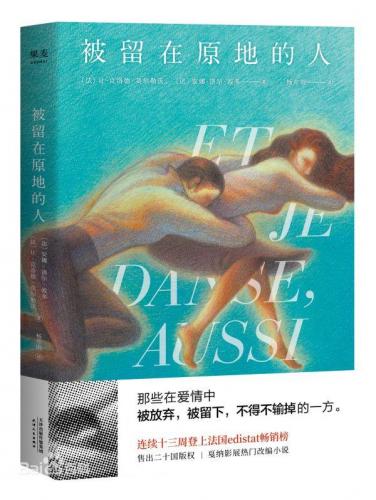 法国译者小说排名前十(假总统的秘密法国小说)插图