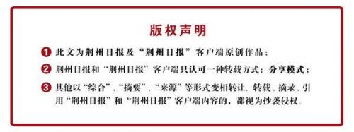 松滋星级酒店排名前十(松滋最好的酒店排名)插图10