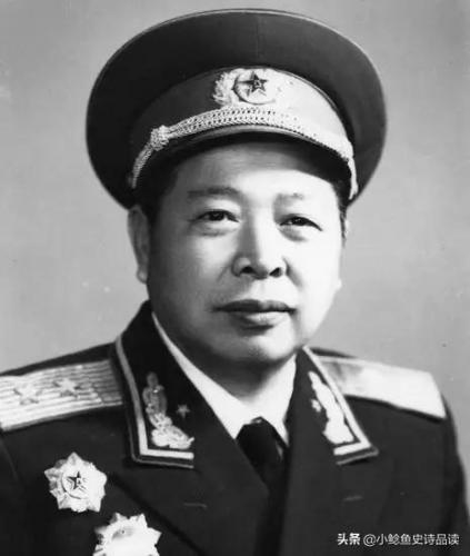 姓罗的名人(姓罗的明星)插图3