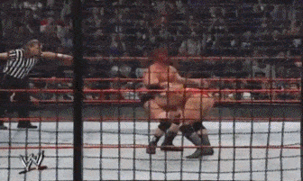 wwe体育价值排名前十(wwe历史十大排名)插图77