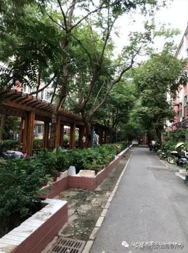 中关村优质小区排名前十(中国小区排名前100小区)插图37