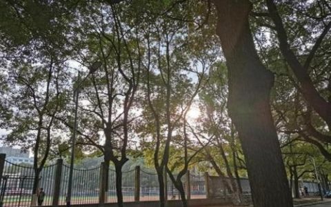 湖南材料学科排名前十(湖南华京粉体材料)