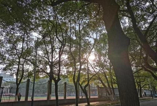 湖南材料学科排名前十(湖南华京粉体材料)插图