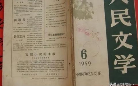 小说杂志版本排名前十(小说类杂志排行)