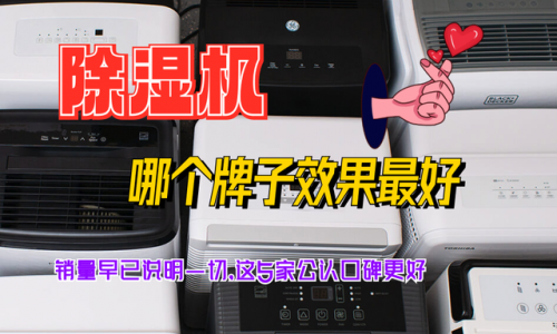 除湿机哪个牌子效果最好(口碑最好的除湿机排行)插图3