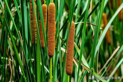 莆田纱窗品牌排名前十(深圳比较知名的纱窗品牌)插图1