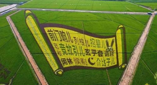 唐山排名前十民宿(唐山周边农家乐民宿)插图2