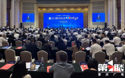 重庆消费公司排名前十(重庆商家排行榜)