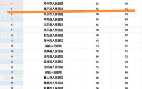 镇平的诊所排名前十(镇平曹庄路口诊所)