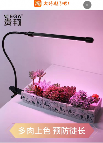 网上购物资讯(网上购物最可靠的网站)插图2