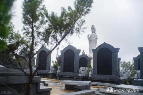 什么最赚钱(投资小利润高的小生意)插图1