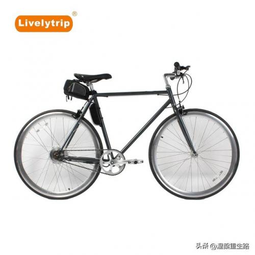 全球最贵自行车(全球第一名最贵的车)插图2