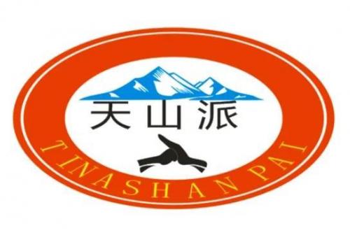 新疆武术名家排名前十(新疆传统武术大师)插图3