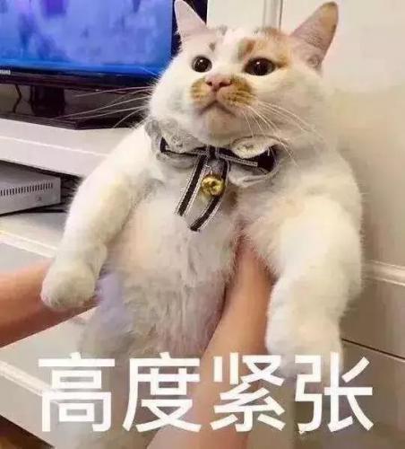 阿克苏各地房价排名前十(阿克苏莱茵湖畔房价)插图3