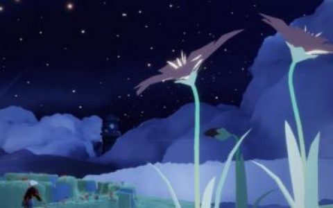 光遇雨林神殿怎么上去(光遇雨林最后神殿有个门)