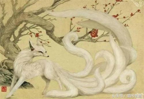 山海经吞天异兽(吞天异兽录)插图3