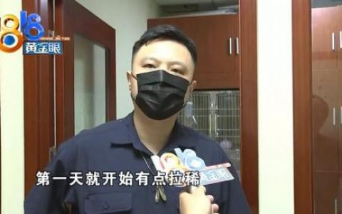 杭州犬舍排名前十(全国十大金毛犬舍)