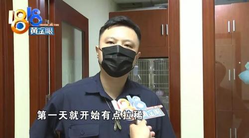 杭州犬舍排名前十(全国十大金毛犬舍)插图