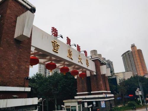 985大学有哪些(三十九所985名单)插图31