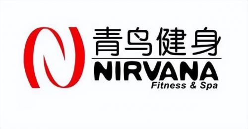 进口健身俱乐部排名前十(健身房排名前十)插图7