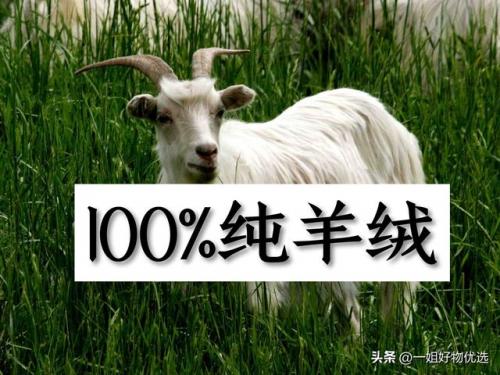围巾大品牌排行榜(十大奢侈品围巾品牌)插图