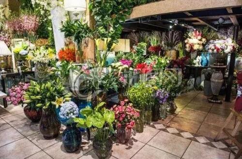想开花店(新手怎么开花店)插图14