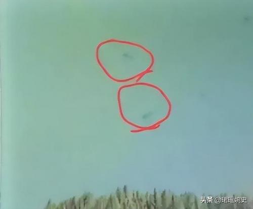 新疆喀纳斯湖水怪(尼斯湖水怪之谜解开了)插图16