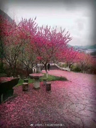 高校校花排行榜图片(全国高校女神排行榜)插图36