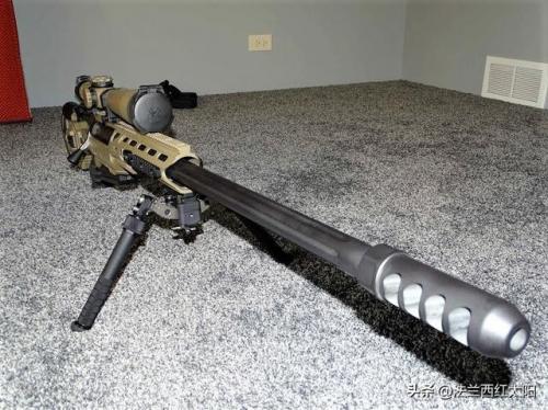 阻击步枪射程排名前十(世界十大名枪之狙击步枪)插图10