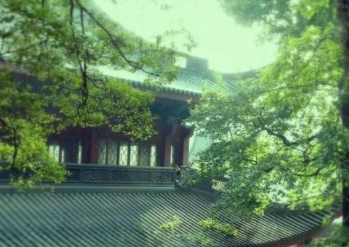 人心无举蛇吞象(一蛇吞象厥大何如出自哪本书)插图1
