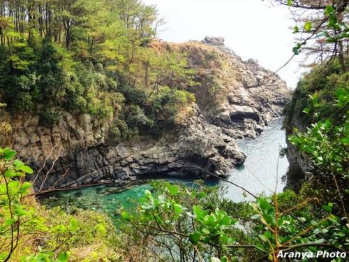 济州岛旅游攻略(济州岛必去的十大景点)插图13