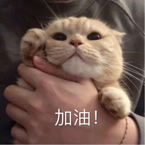 禹泉面霜排行榜(好用的面霜公认最好用)插图6