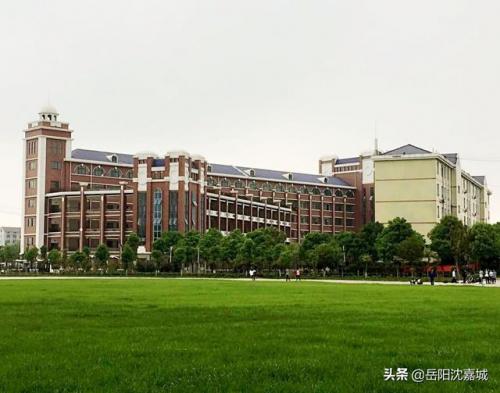 岳阳学校面积排名前十(岳阳小学四大名校)插图2