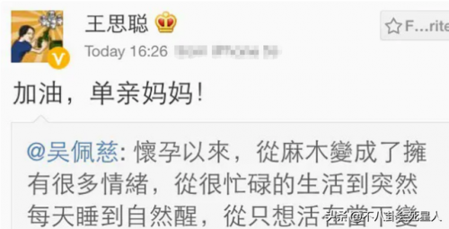 吴佩慈资料(流星花园2吴佩慈)插图12