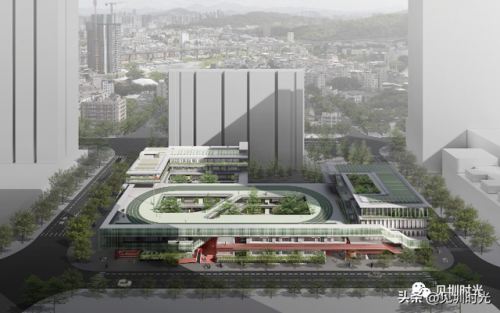 龙城私立小学排名前十(南湖小学是公立还是私立)插图4