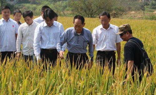 关于袁隆平爷爷的资料(袁奶奶是谁)插图3
