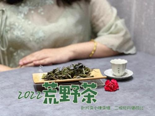 福鼎地下室防水排名前十(乳山地下室防水哪家好)插图3