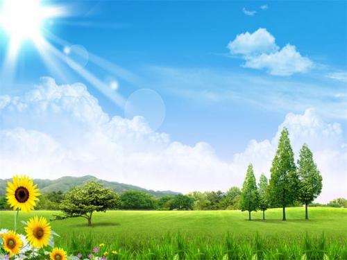 电脑桌面壁纸排行榜(壁纸app排行榜前十名)插图5