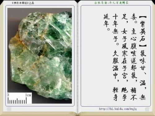 本草纲目中药大全(12000种中草药大全)插图38