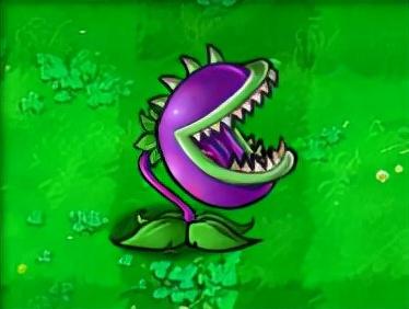 手机怎么玩老版植物大战僵尸(怎么在手机上玩pvz95版)插图7