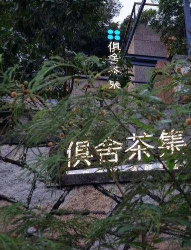 厦门品牌茶店排名前十(厦门一间茶店能挣多少钱)插图24