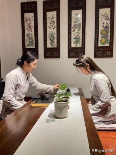 西安茶艺培训排行榜(茶艺师培训机构哪家好)插图3