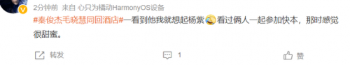 秦俊杰杨紫恋情(杨紫的个人资料)插图15
